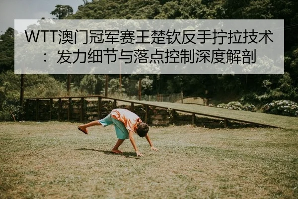 WTT澳门冠军赛王楚钦反手拧拉技术：发力细节与落点控制深度解剖